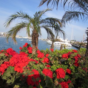 port Juan Carlos Valencia