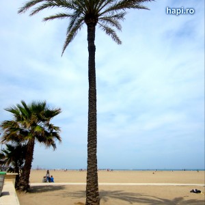 playa cabayal valencia
