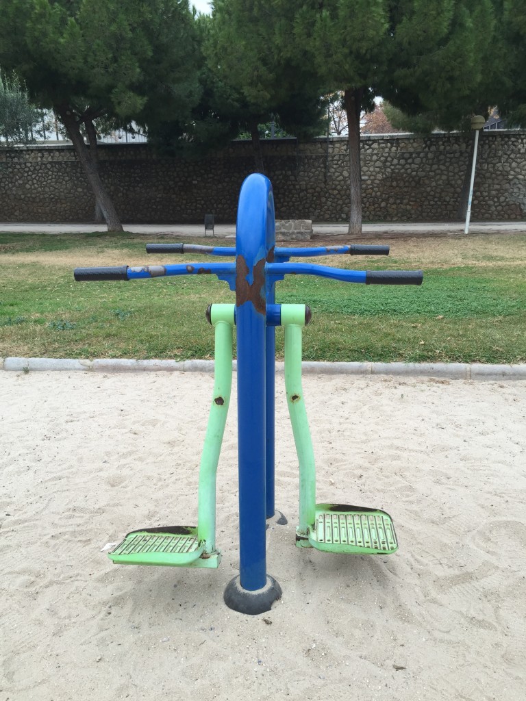 sport talie