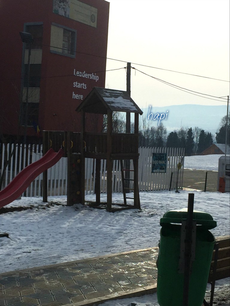 parcul mercur devastat