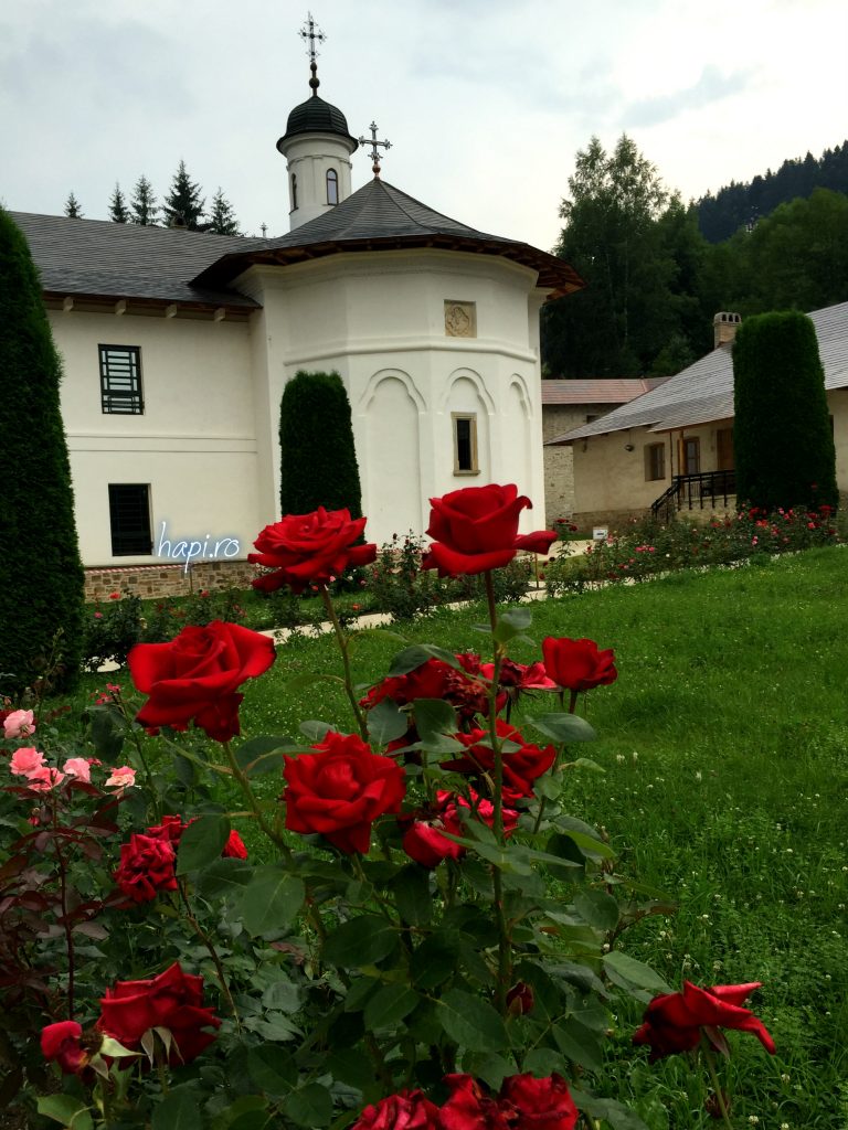 manastire si flori