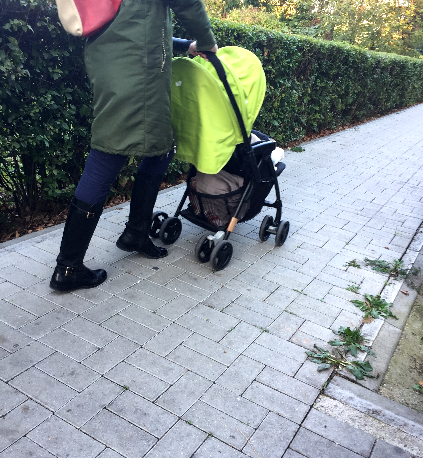 carucior joie descriere maner reversibil